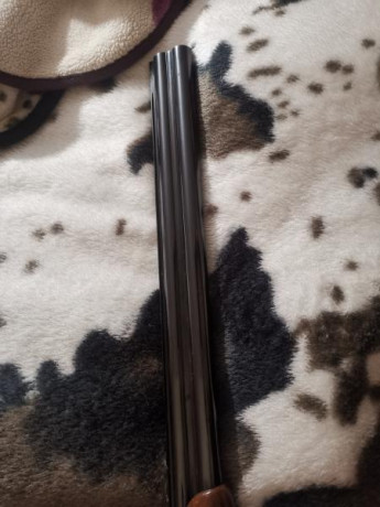 Vendo 3 escopetas, 1 paralela ugartechea 1 superpuesta franchi y una semiautomática franchi, la semiautomática 00