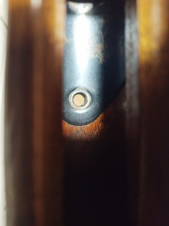 Hola,
Fruto de caídas en el monte quiero restaurar el pasamanos de mi repetidora B80.
Quiero decapar, 31