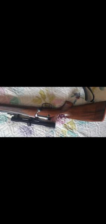 Vendo Mauser 66 stutzen c/270 appel y zeiss 4x32 en perfecto estado y centrado con alza y con el visor.
1500 01