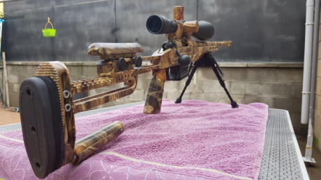 VENDO REMINGTON 700​ 308 W.
GATILLO AFINADO POR MASIP ,CARGADOR 5 CARTUCHOS CULATA BRITANIA RAILS CHASIS 01