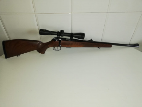 Vendida 00
