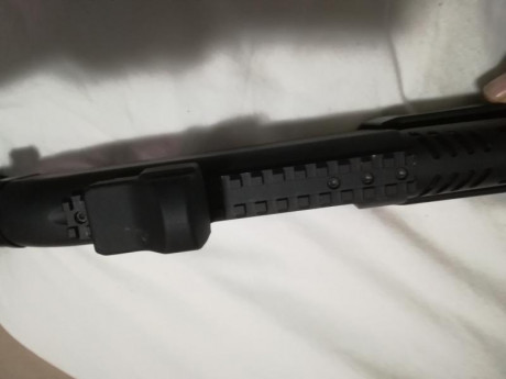 Muy buenas,

Con cual de estas dos os quedaríais? 
 
Saludos.

 https://es.winchester.eu/products/shotguns/pump_shotgun/A-WSXPHCAP/A-WSXPHCAP.html 61