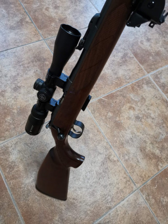 Vendo carabina del .22 LR modelo CZ453 deluxe 
Con disparador a pelo i visor Vortex 2-7 
Bipode buffalo 00