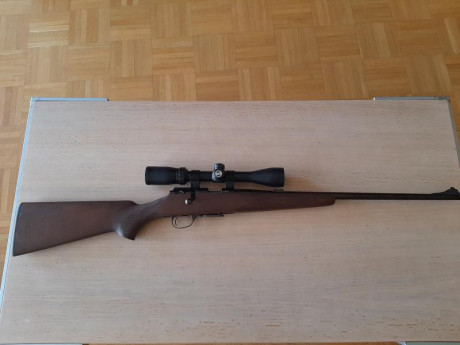 Carabina luger 22mg impoluta sin casi uso con mira busnell 3x9x40 y funda en 280 euros 01