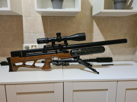 Para dar cabida a un nuevo proyecto, vendo esta estupenda Vulcan3 de AirgunTechnology.
La carabina fue 02