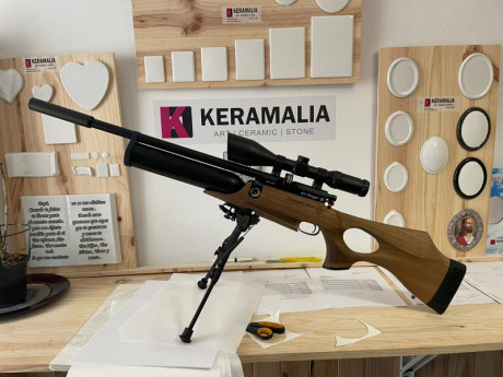 se vende por no tener tiempo para usarla , esta seminueva un arma muy precisa y eficaz , se puede probar 02