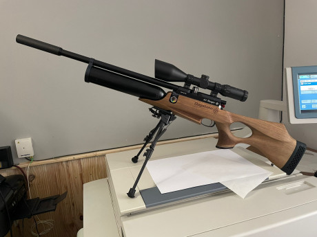 se vende por no tener tiempo para usarla , esta seminueva un arma muy precisa y eficaz , se puede probar 00