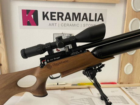 se vende por no tener tiempo para usarla , esta seminueva un arma muy precisa y eficaz , se puede probar 22