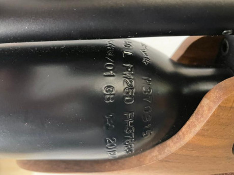 se vende por no tener tiempo para usarla , esta seminueva un arma muy precisa y eficaz , se puede probar 31