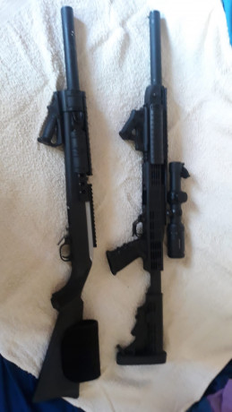 Buenas pongo a la venta 2und.ruger 10-22 tuneadas para ipsc con ascesorios de origen 
4 cargadores de 01