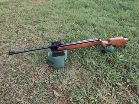 Vendo carabina Webley Patriot .25 por falta de uso. Es el modelo original inglés en potencia española. 02
