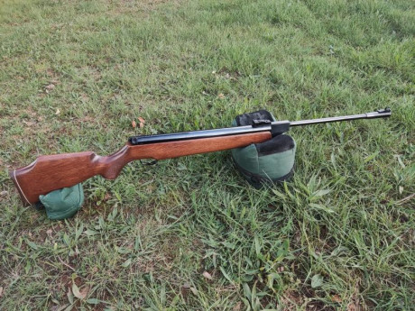 Vendo carabina Webley Patriot .25 por falta de uso. Es el modelo original inglés en potencia española. 01
