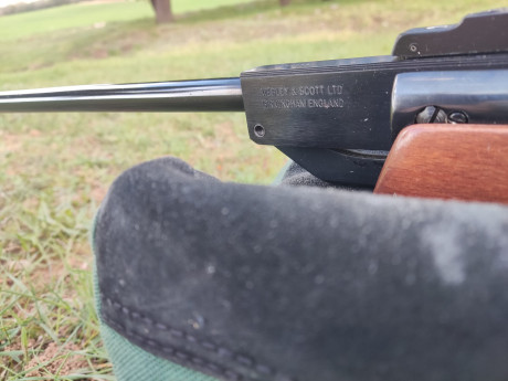Vendo carabina Webley Patriot .25 por falta de uso. Es el modelo original inglés en potencia española. 00