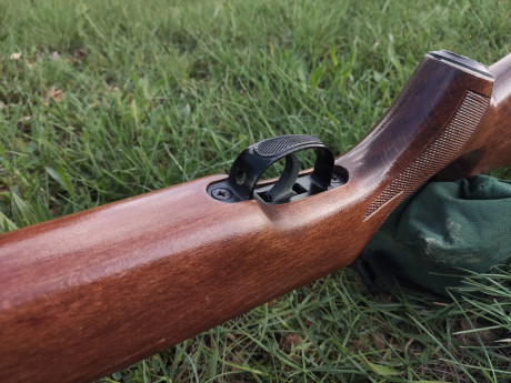 Vendo carabina Webley Patriot .25 por falta de uso. Es el modelo original inglés en potencia española. 10