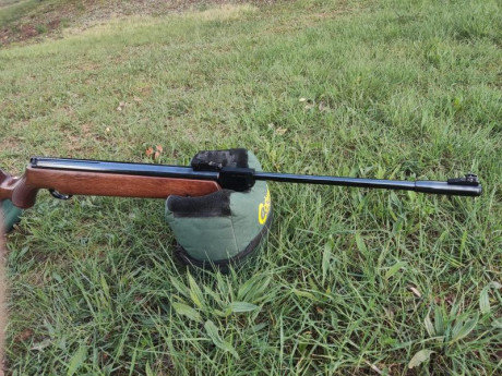 Vendo carabina Webley Patriot .25 por falta de uso. Es el modelo original inglés en potencia española. 22