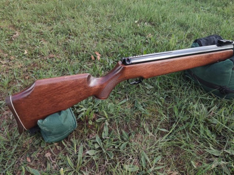 Vendo carabina Webley Patriot .25 por falta de uso. Es el modelo original inglés en potencia española. 21