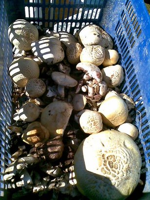 Pues eso,llevo en mente flotar el cañon de mi Sta.barbara c75 del 308w.Y la pregunta es ¿bastara con 1mm 91