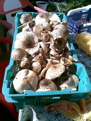 Pues eso,llevo en mente flotar el cañon de mi Sta.barbara c75 del 308w.Y la pregunta es ¿bastara con 1mm 90