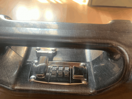 Vendo maletín acolchado y con seguro de combinación, cogen  dos pistolas perfectamente.
Saludos 00