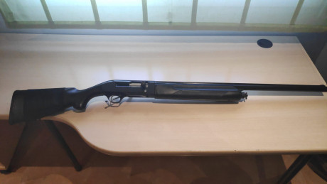 Se vende beretta en perfecto estado, limitado cargador a 2+1 para cazar, cañon fijo 3* 250€, perfecto 01