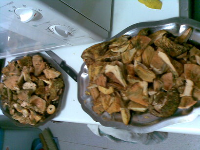 Pues eso,llevo en mente flotar el cañon de mi Sta.barbara c75 del 308w.Y la pregunta es ¿bastara con 1mm 100