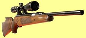 hola llevo un tiempo practicando Field Targer y Bench rest y megustaria tener informacion de AA Pro Sport 01