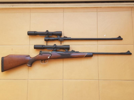Vendo Mauser 66 calibre 6,5x68 con bases/monturas Shuler y visor Smith Bender 1,3/4 - 6x mas un kit completo 02