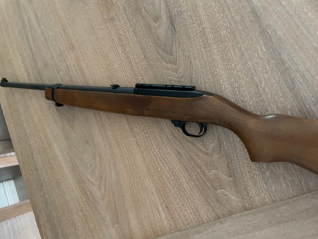 Saludos 
  Vendo carabina ruger 10/22 sin apenas uso
Incluyó monturas, punto rojo, cargador 25 y algo 02