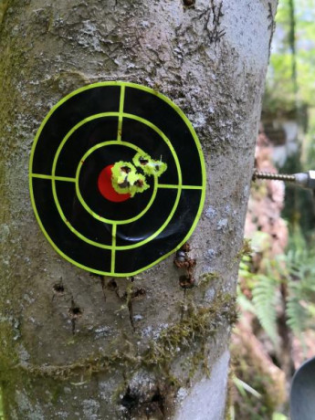 Bueno, para animar el foro un poco, propongo colgar fotos de dianas y arma usada para ello, pudiendo ser 80