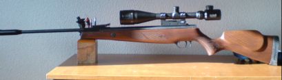 Hola a todos los amantes de las armas de aire comprimido. Saludos :D

Soy un gran aficionado de las armas 70