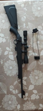 Por exceso de armas pongo en venta Rifle ROSSI MAGTECH, modelo 817, calibre 17hmr, con dos cargadores 10