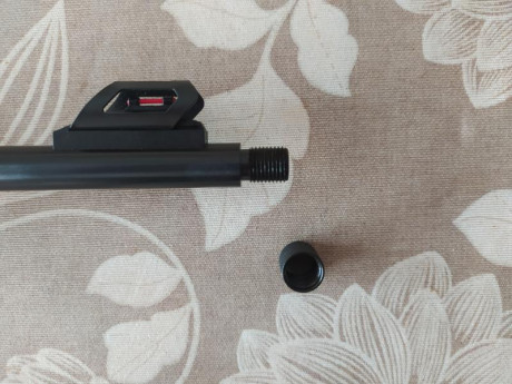 Por exceso de armas pongo en venta Rifle ROSSI MAGTECH, modelo 817, calibre 17hmr, con dos cargadores 20