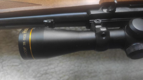 Para hacer sitio en el armero y para comprar otro juguete, vendo mi carabina RUGER 10/22 por 350euros 01
