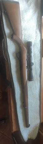 Para hacer sitio en el armero y para comprar otro juguete, vendo mi carabina RUGER 10/22 por 350euros 00