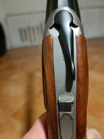 Vendida 12