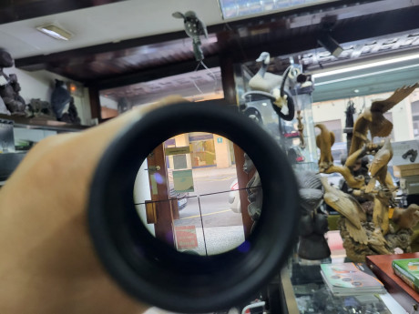 Visor Swaroski  sin las monturas,690 e con el envio en españa 02