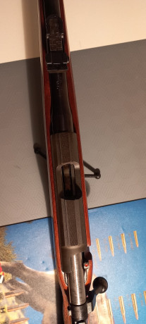 Retirado de la venta 21