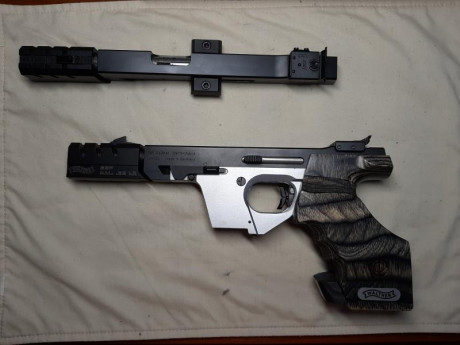 Se vende WALTHER GSP EXPERT 22LR + carro 32.
En perfecto estado. Cacha talla L. Maletín incluido y cargadores(3x22LR 01