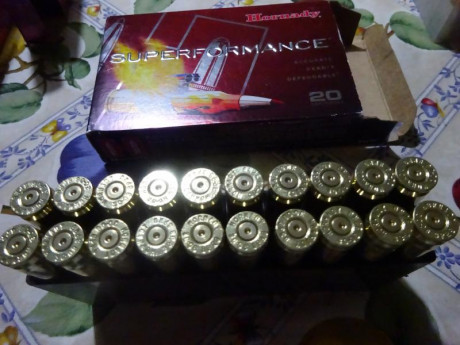 Muy buenas.
Vendo 320 vainas Hornady del calibre .30-06 con 1 Tiro, pulidas en Tumbler y en sus cajas 01