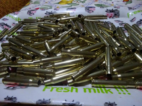 Muy buenas.
Vendo 320 vainas Hornady del calibre .30-06 con 1 Tiro, pulidas en Tumbler y en sus cajas 00