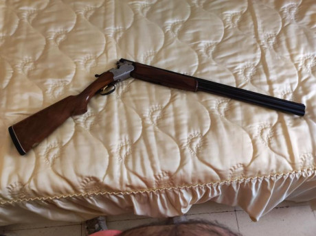 En venta
Beretta 687 Silver Pigeon (Caza).
Superpuesta cal.12 Muy buen estado.
Monogatillo, selector de 12