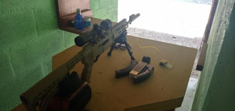 Saludos 
  Vendo carabina ruger 10/22 sin apenas uso
Incluyó monturas, punto rojo, cargador 25 y algo 111