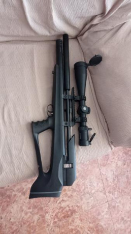Hola a todos  quiero comprame una carabina de pcp   dl 5.5 y no tengo mucha idea , queria una carabina 31
