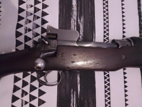 Saludos, hace bastante tiempo desde mi ultimo post... Pongo para preferible Cambio, un Remington modelo 00