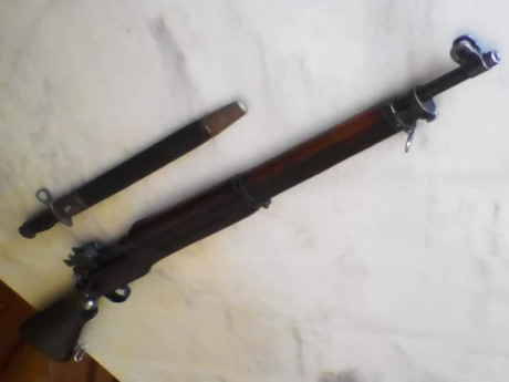 Saludos, hace bastante tiempo desde mi ultimo post... Pongo para preferible Cambio, un Remington modelo 62