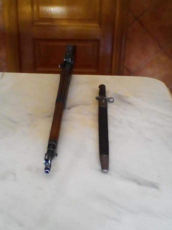 Saludos, hace bastante tiempo desde mi ultimo post... Pongo para preferible Cambio, un Remington modelo 61