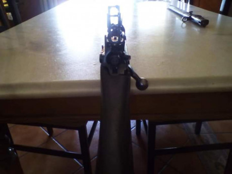 Saludos, hace bastante tiempo desde mi ultimo post... Pongo para preferible Cambio, un Remington modelo 60