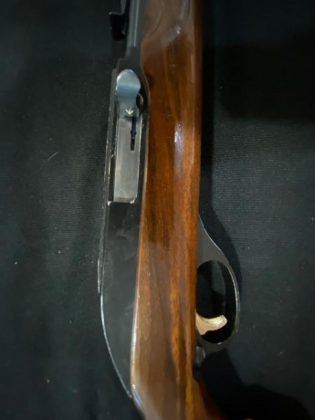 Vendo por no usar Marlín 99C 22LR.

La carabina tiene bastantes años ya y tiene sus marquitas y arañazos. 20