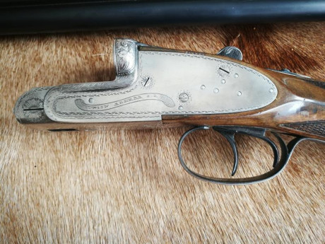 Escopeta Grulla (unión armera) modelo 208D calibre 16/70 extractora. Muy ligera y con un encare excelente. 02