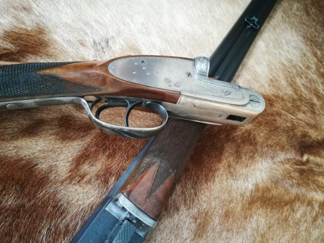 Escopeta Grulla (unión armera) modelo 208D calibre 16/70 extractora. Muy ligera y con un encare excelente. 22
